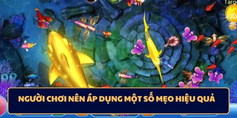 Người chơi nên áp dụng một số mẹo hiệu quả