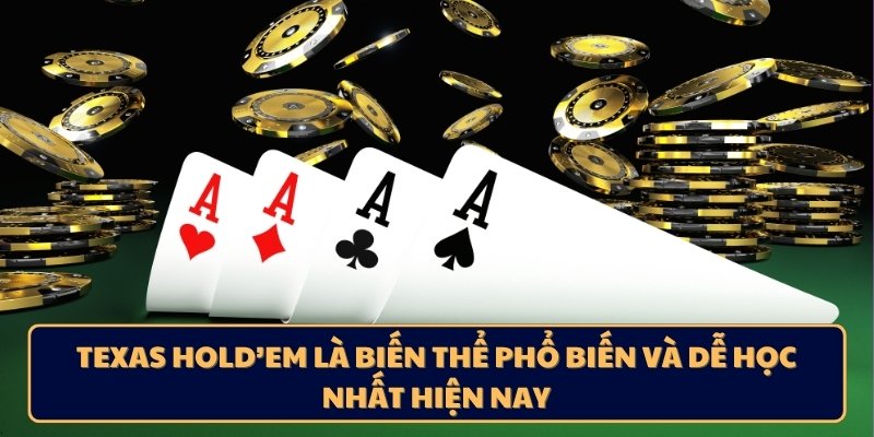 Texas Hold’em là biến thể phổ biến và dễ học nhất hiện nay