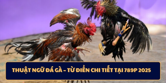 Thuật Ngữ Đá Gà