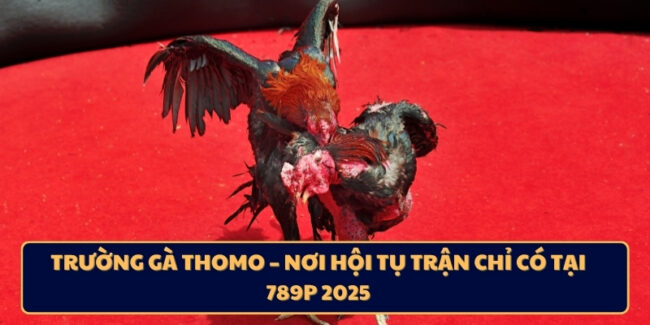 Trường Gà Thomo